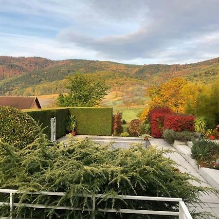 Logement De Charme Au Coeur De La Nature Osenbach Buitenkant foto