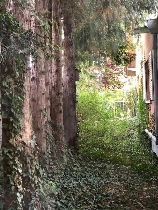 Logement De Charme Au Coeur De La Nature Osenbach Buitenkant foto