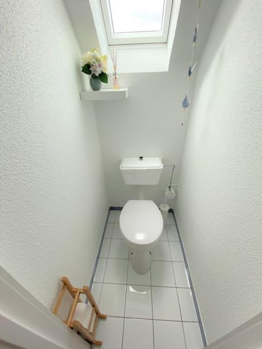 Logement De Charme Au Coeur De La Nature Osenbach Buitenkant foto