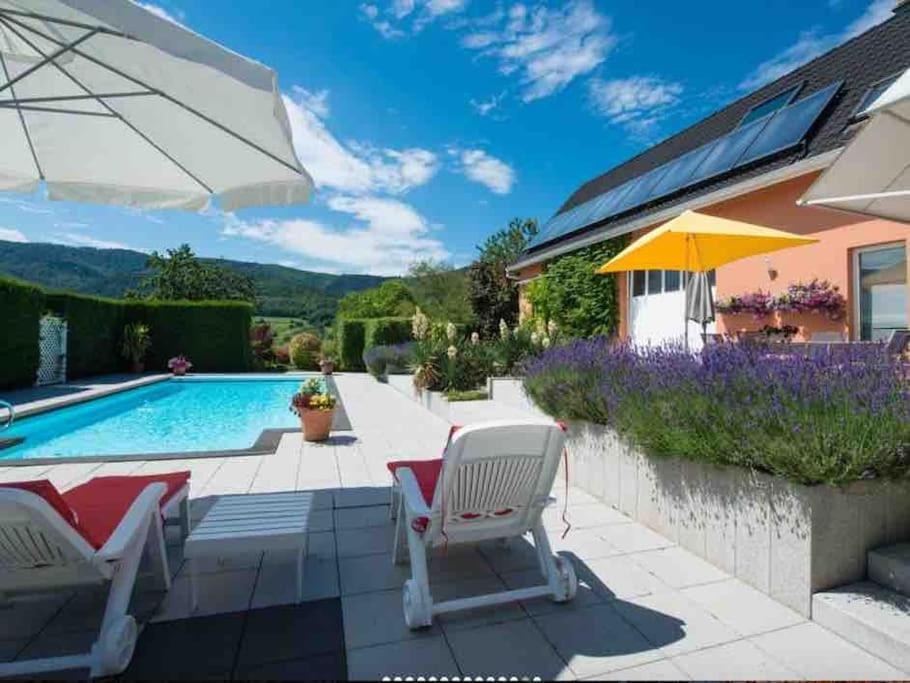 Logement De Charme Au Coeur De La Nature Osenbach Buitenkant foto